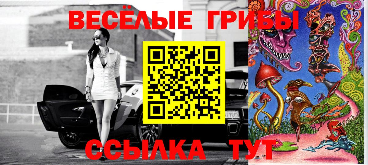 Урюпинск  Галлюциногенные грибы Psilocybine cubensis  закладка  Вход с VPN 
